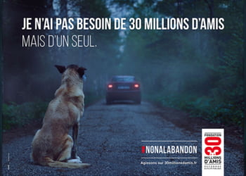 Affiche Campagne 2016