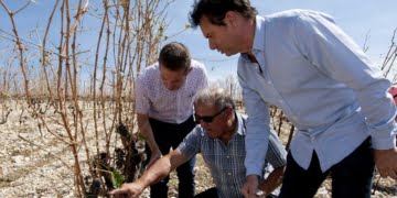 Grêle dévastatrice dans l'Hérault
