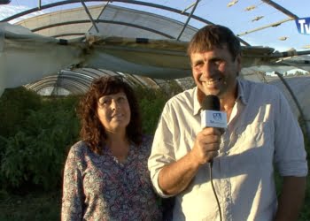 Le circuit court pour chantal et bernard_choisselet