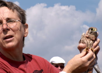 Marie-Pierre Puech, fondatrice de l'hôpital Faune Sauvage en Languedoc-Roussillon