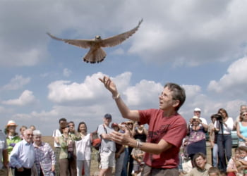 Retour vers la liberté sur l'Aigoual