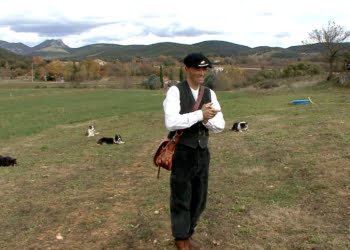 Etienne et Nathasha Serclérat et ses 15 chiens de berger en démonstration canine à Montoulieu