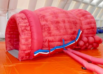 prostate_tour_montpellier