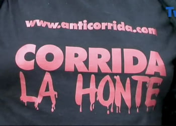 anti-corrida-ales