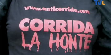 anti-corrida-ales