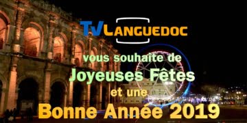 joyeuses-fetes-bonne-annee-2019-tvl