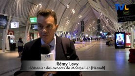 remy-levy-batonnier-montpellier