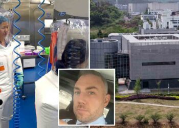 Mais d'ou vient le virus Covid 19